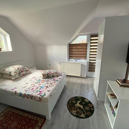 Vila Castelana Căciulata Extérieur photo