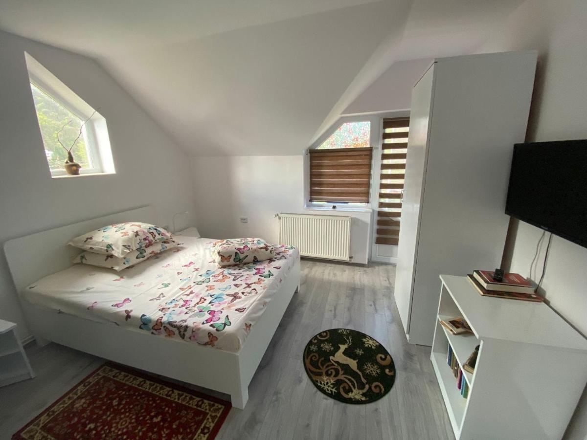 Vila Castelana Căciulata Extérieur photo