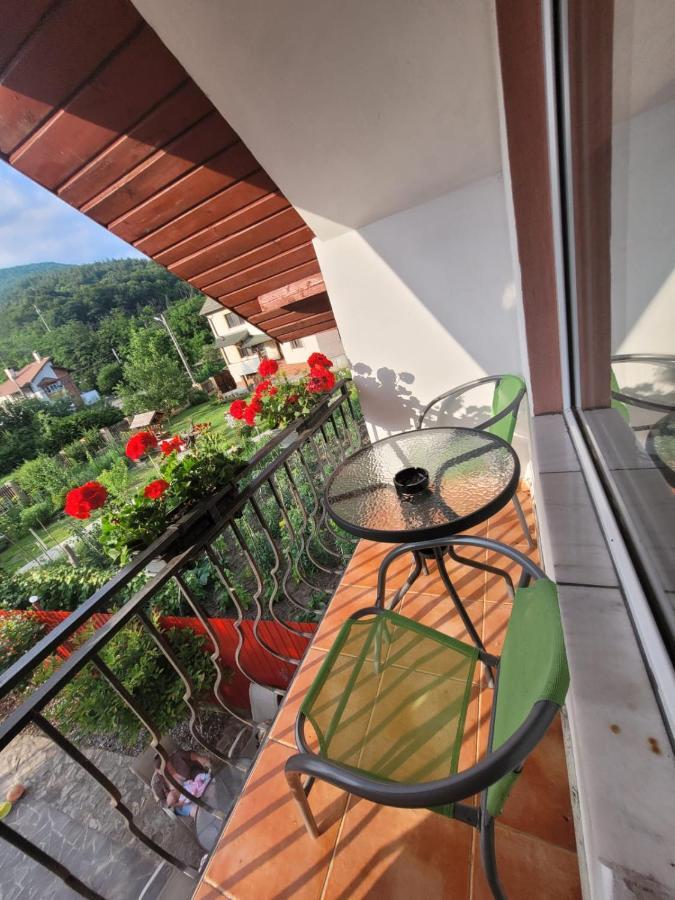 Vila Castelana Căciulata Extérieur photo